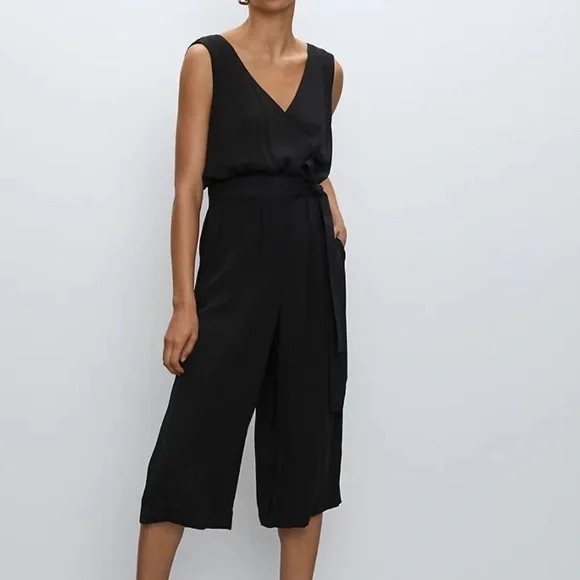 Aritzia Babaton Jumpsuit - Picture 2 of 12